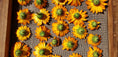 Load image into Gallery viewer, CALENDULA