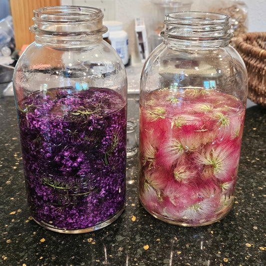 Mimosa Blossom Spritz