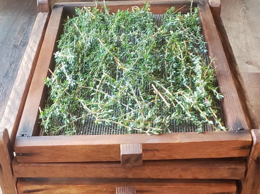 Thyme drying